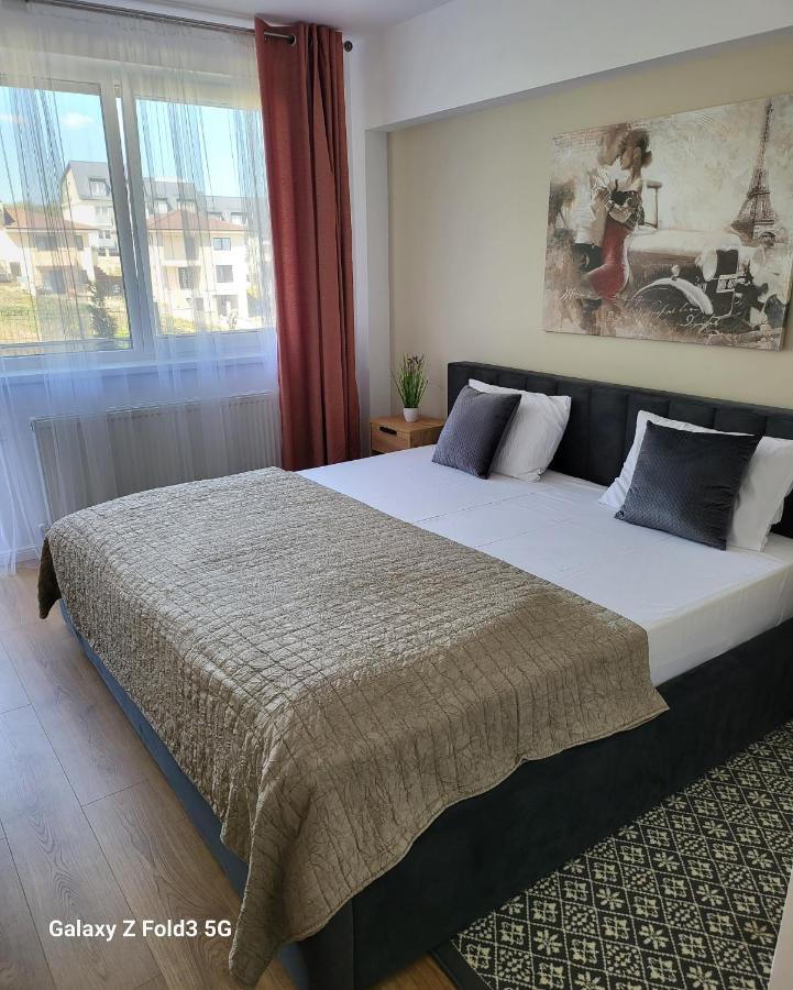 David'S Place Флорешты Экстерьер фото