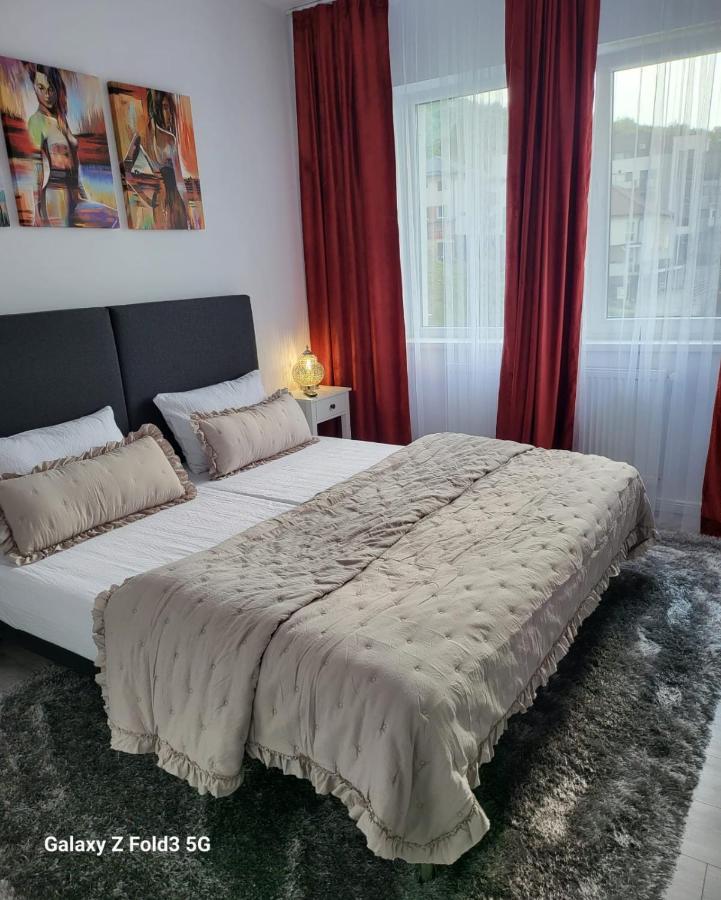 David'S Place Флорешты Экстерьер фото
